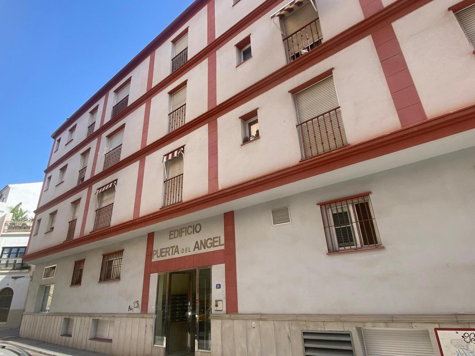 Apartment Maravilloso Centrico De 70m2, Jardin Propio 40m2 Con Piscina Ninos Y Parking Opcional Málaga